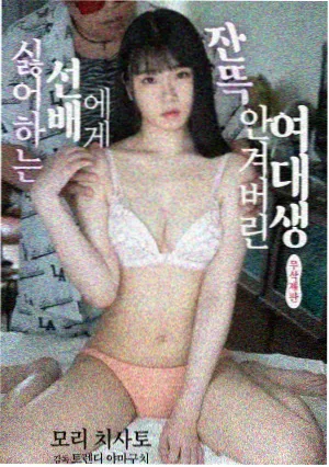 青空补给站 高清动漫下载